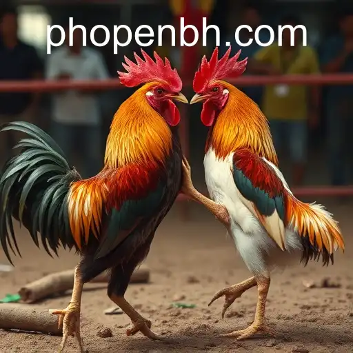 VIP Service PHOPEN CASINO - 24/7 Support and Exclusive Benefits