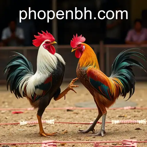 Gaming Experience PHOPEN CASINO - 800+ Premium and Exclusive Games